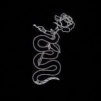 TikTok Account - snakep25