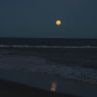 TikTok Account - jswritingpoetry