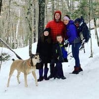 TikTok Account - thebennettbus