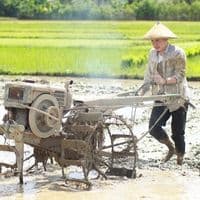 TikTok Account - hanyapetanimuda