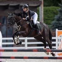 TikTok Account - eq.aleksa09