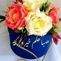 TikTok Account - simohammed1111