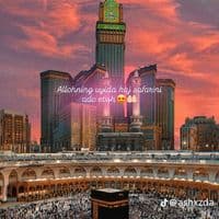 TikTok Account - zarina.ismoilova02