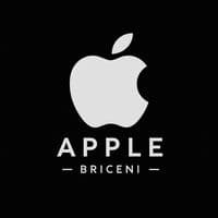 TikTok Account - _apple_briceni_