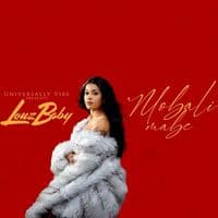 TikTok Account - louzbabyofficiel01