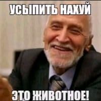 TikTok Account - mycatinmyavatarisfull