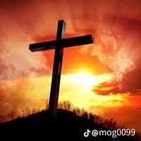 TikTok Account - angelaperfecto0