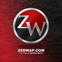 TikTok Account - zedwap