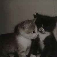 TikTok Account - 1ndexxxa