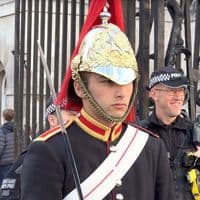 TikTok Account - peter.ellis1