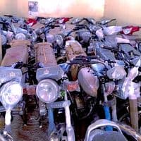 TikTok Account - safarel89852234