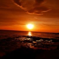 TikTok Account - ariasalex4