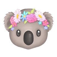 TikTok Account - maqaroon