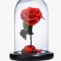 TikTok Account - masiha325