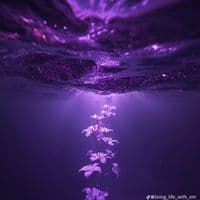 TikTok Account - zuzu_by_mazuba