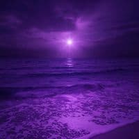 TikTok Account - official.tracy_k