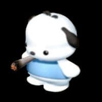 TikTok Account - notchloehoe