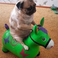 TikTok Account - ferchus12340