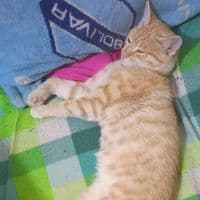 TikTok Account - rememberdetime