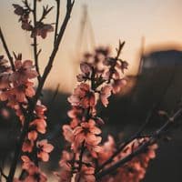 TikTok Account - sidehustle211