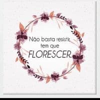 TikTok Account - florescer.em.cresci