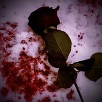 TikTok Account - muddy.editz8