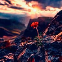 TikTok Account - m.lyrics88