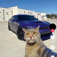 TikTok Account - manele.00