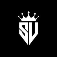 TikTok Account - songviral777