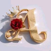 TikTok Account - assalaharti