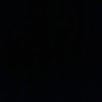 TikTok Account - doliestv