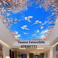 TikTok Account - tavane_extensibile_md_ro