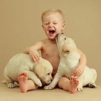 TikTok Account - martin123126