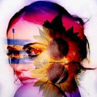 TikTok Account - herriemix