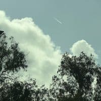 TikTok Account - girasollunera