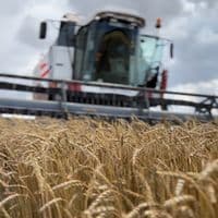 TikTok Account - arteemqa