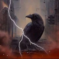 TikTok Account - www_voron