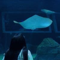 TikTok Account - mar.ffl