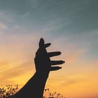 TikTok Account - zaallnoon