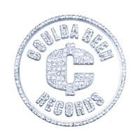 TikTok Account - couldabeenrecords