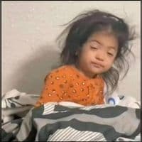 TikTok Account - toumidevero