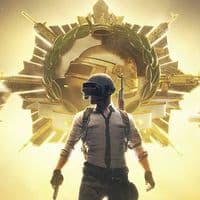 TikTok Account - seppyco