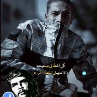 TikTok Account - p_o__abse0_1