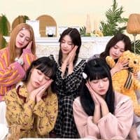 TikTok Account - username288310