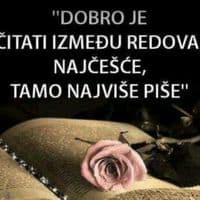 TikTok Account - amalijafranceskovic