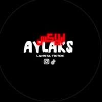 TikTok Account - its_aylkss