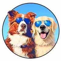 TikTok Account - officialwillygooddog