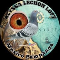 TikTok Account - alyssalechonloft