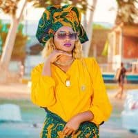 TikTok Account - fanucha001