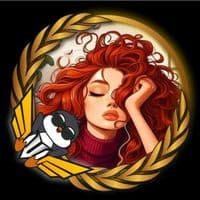 TikTok Account - deha_aras.bulut